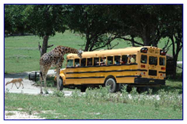 Fossil Rim Wildlife Center
